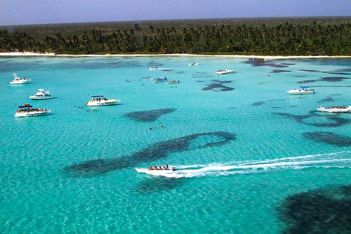 6 + 1 Full Day Isla Saona Tour and Snorkel in Natural Pool Mangroves punta cana - Photo 1 of 8